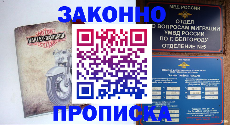 прописка для школы в Курганинске